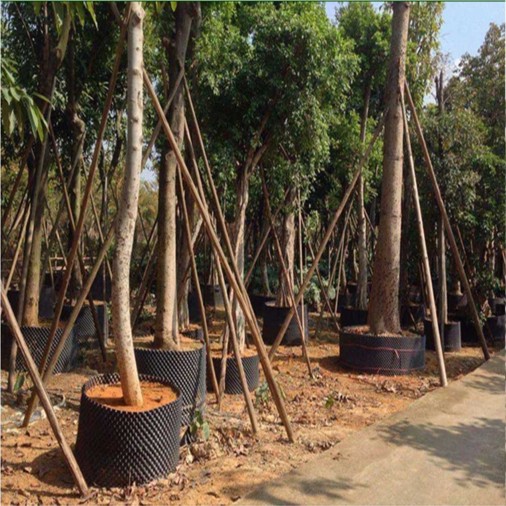 Grow Container Garden Tree Bon - đánh giá và giá Garden Tools