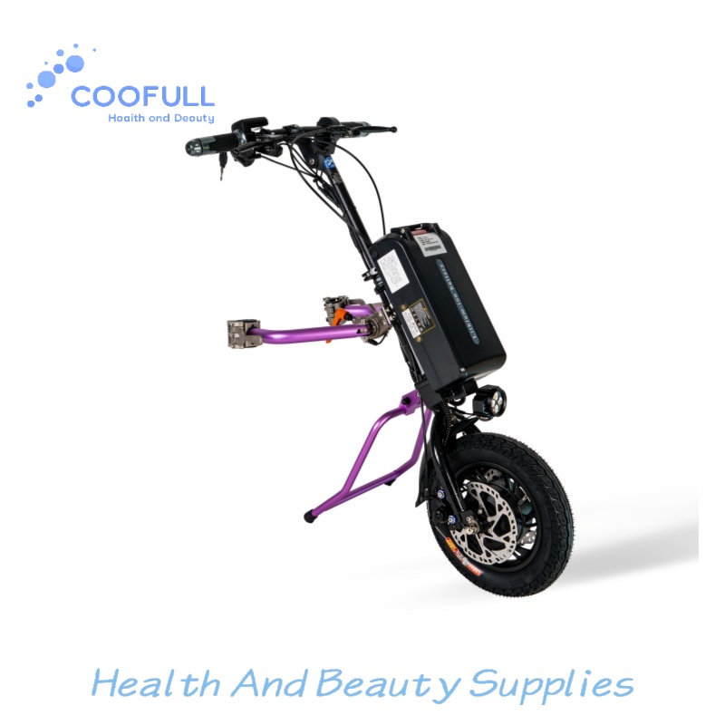 Coofull Heibao  350W 48V 15Ah  - đánh giá và giá Electrical